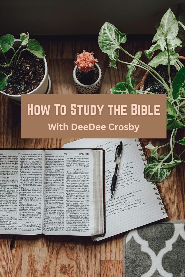 How to Study the Bible